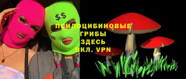 spice Кулебаки