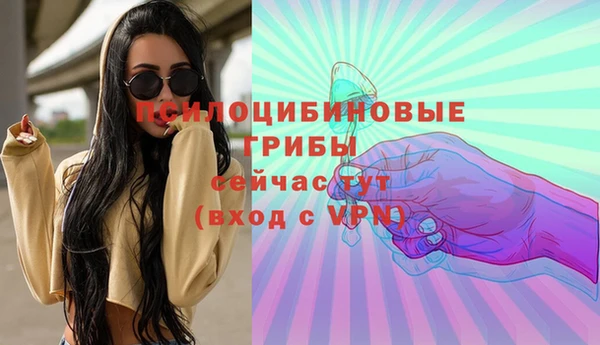 гашик Рославль