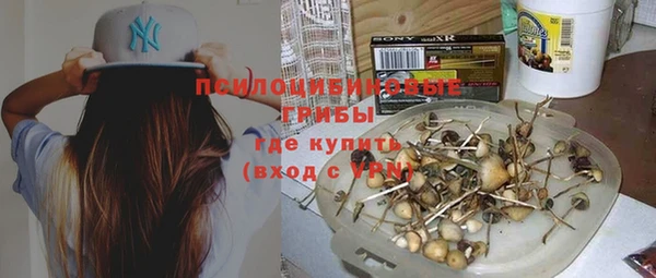 гашик Рославль