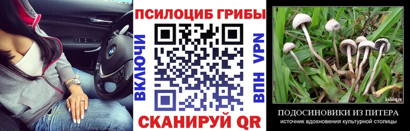 MEGA вход  Богучар  Псилоцибиновые грибы Psilocybine cubensis  где найти  